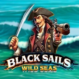 Black Sails Wild Seas logo by Infinity Dragon Studios at Duffspin Casino