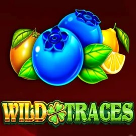Wild Traces by Amusnet Interactive, showcased at duff-spin.eu – game logo